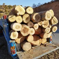 خریدار چوب|خدمات باغبانی و درختکاری|یاسوج, |دیوار