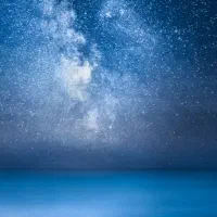 گچکاری و تعمیرات،گل سفید