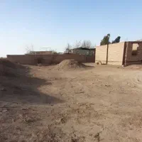 22-قصب-احمداباد