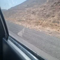 سرویس اداری