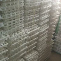 فروش تعدادی لوازم مرغداری و پرورش مرغ و جوجه