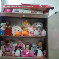 عروسک|اسباببازی بچه|قم, چهار مردان|دیوار