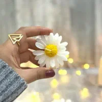 گیفت یا شمع بابونه