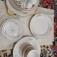 بشقاب آرکو پال ویکتوریا