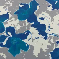 لباس|لباس|خاش, |دیوار