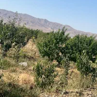 فروش فوری
