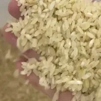 برنج ایرانی/ طارم/ فجر/کامفیروزی/عنبربو