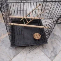 قفس پرنده استفاده نشده