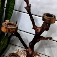 جاشمعی زیبا و خاص