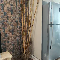 نیم تنه درختچه دکوری چوبی تزئینی