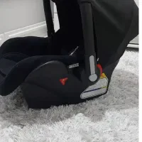 کریر نوزاد مارک  دلیجان