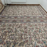 پنج عدد فرش 2/3بخاطر نیاز مالی می فروشم|فرش|مهاباد (آذربایجان غربی), |دیوار