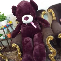 خرس ۱.۵متری