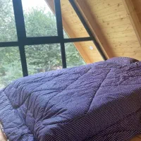 اجاره‌ کلبه سوئیسی دربست|اجارهٔ کوتاه‌مدت ویلا و باغ|ماسال, |دیوار