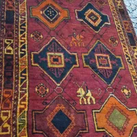 قالی محلی دستبافت|فرش|دوگنبدان, |دیوار