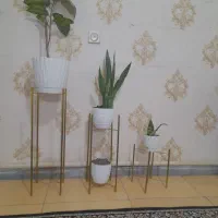 استند گل با گل