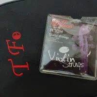 ویولن tf|ویولن|فردیس, منظریه|دیوار