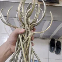 گیره دیزی (فلزی)|ظروف پخت‌وپز|جوانرود, |دیوار