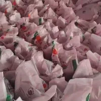 کودمرغی یا پلت مرغی ارگانیک آرگومیکس ۲۵کیلویی