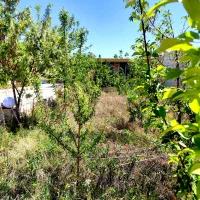 500 متر باغ ویلا/ خدایارخان / زیر قیمت|فروش خانه و ویلا|محمدشهر, محمدشهر|دیوار