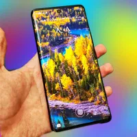 آنر honor 50 حافظه ۲۵۶|موبایل|تهران, شیخ هادی|دیوار