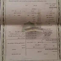 ۲ عددفیش حج تمتع