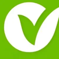 ضامن لازم دارم