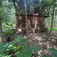 ویلاهایی در دل جنگل|فروش خانه و ویلا|بانه, |دیوار