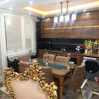 پرده زبرا فقط درب