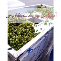 آبغوره گیری پرسی|خدمات پیشه و مهارت|قزوین, |دیوار