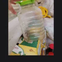 دبه فرمانی سالم