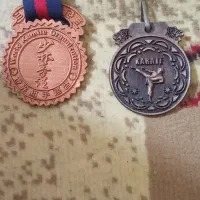 مدال برنز کاراته
