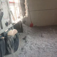 فروش تخم پنبه تحویل درب گاوداری و دامداری