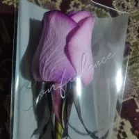 گل نرگس و گل رز زیر قیمت بازار|گل و گیاه طبیعی|گنبد کاووس, |دیوار