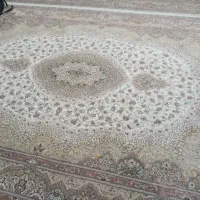 فرش|فرش|میلاجرد, |دیوار