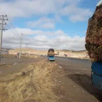 علوفه مخلوط با یونجه|خدمات باغبانی و درختکاری|تکاب, |دیوار