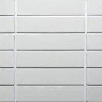 اجرنمای سفید