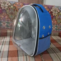 کوله حمل گربه.