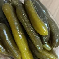 پادری|پادری|مشهد, شفا|دیوار