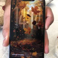 ۱۶پرو ۲۵۶|موبایل|مشهد, توس (بلوار توس)|دیوار