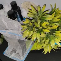 آکواریوم شرکتی بزرگ ماهیران با کلیه متعلقات میبد