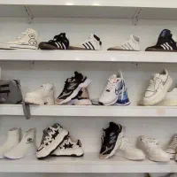 بانتا،واگذاری یا فروش محصولات|کیف، کفش، کمربند|سنندج, |دیوار