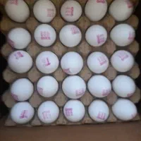 تخم مرغ عمده و کارتونی