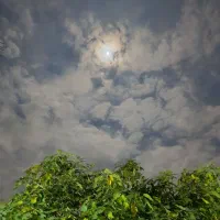 زمین ۱۷۸ متر مربع سند دار داخل شهر لوندویل