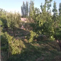 فروش خانه ویلایی ۱ متری واقع در کوی مولانا|فروش خانه و ویلا|صوفیان, |دیوار