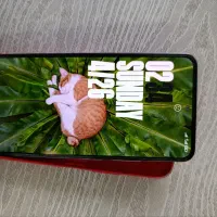 pocoF3|موبایل|سهند, |دیوار