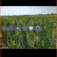 زمین کشاورزی ۸ هکتار سند ثبتی تک برگ با چاه آب|فروش دفتر صنعتی، کشاورزی، تجاری|برازجان, |دیوار