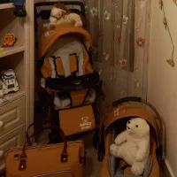 ست کالسکه، ساک و کریر کودک مدل baby best benita