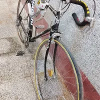 کورسی|دوچرخه، اسکیت، اسکوتر|کرج, باغستان|دیوار