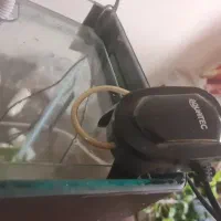 آکواریوم بزرگ کاملا سالم|ماهی|تهران, شمس‌آباد|دیوار